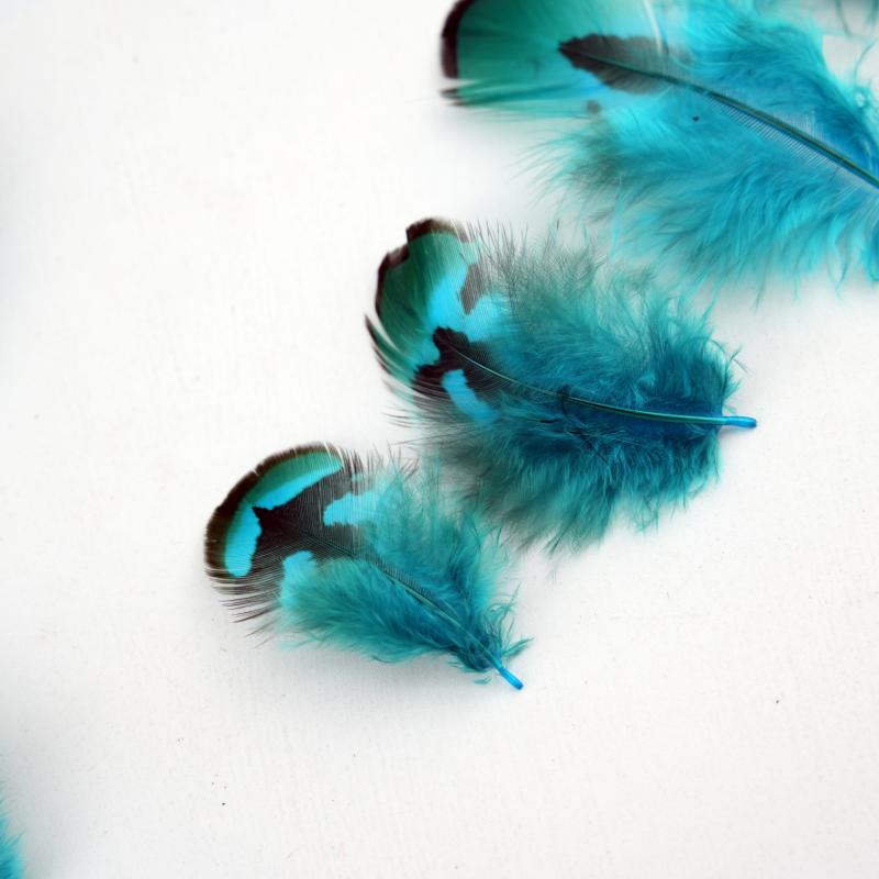 Natural DIY Pheasant Feathers  - Wedding Supply In Bulk reseña y precio