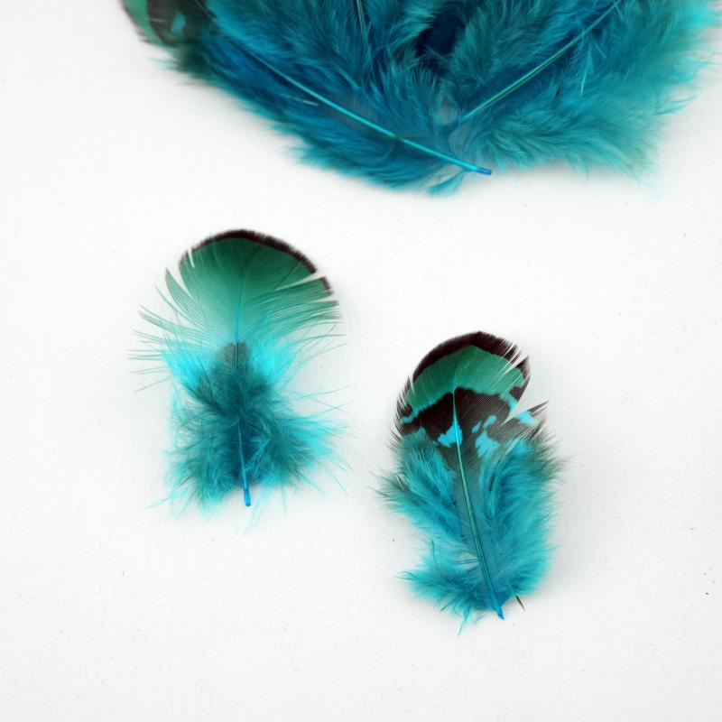 Natural DIY Pheasant Feathers  - Wedding Supply In Bulk reseña y precio