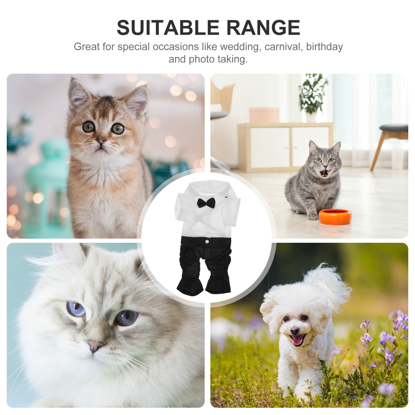 1Set Pet Cat Clothes Dog Suit  - Suitsupply Wedding Tuxedo reseña y precio