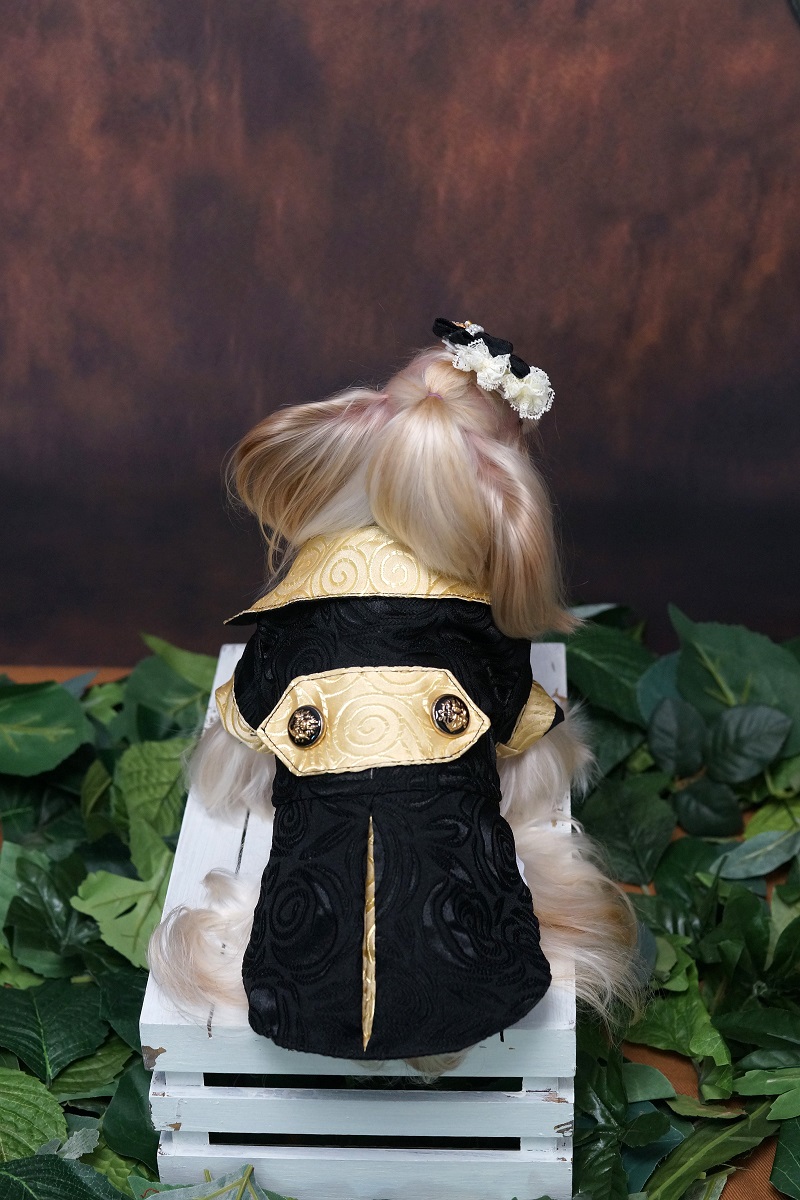 Handmade Dog Clothes Luxurious - Suitsupply Wedding Tuxedo reseña y precio