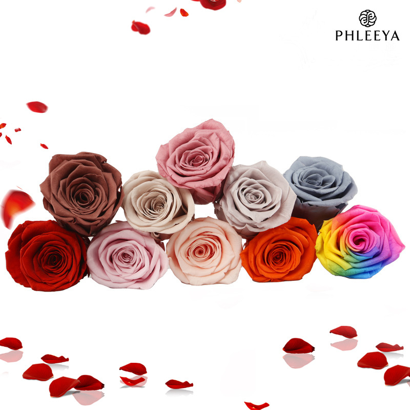 6pcs Eternal Rose Flower Heads - Wedding Supply In Bulk reseña y precio