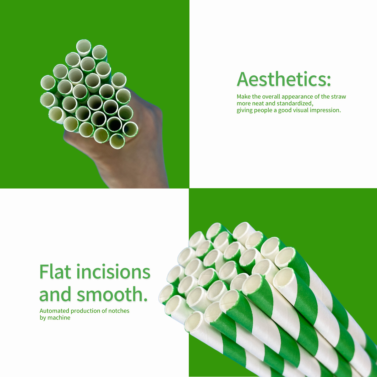 100 Pcs Biodegradable Green an - Wedding Supply In Bulk reseña y precio
