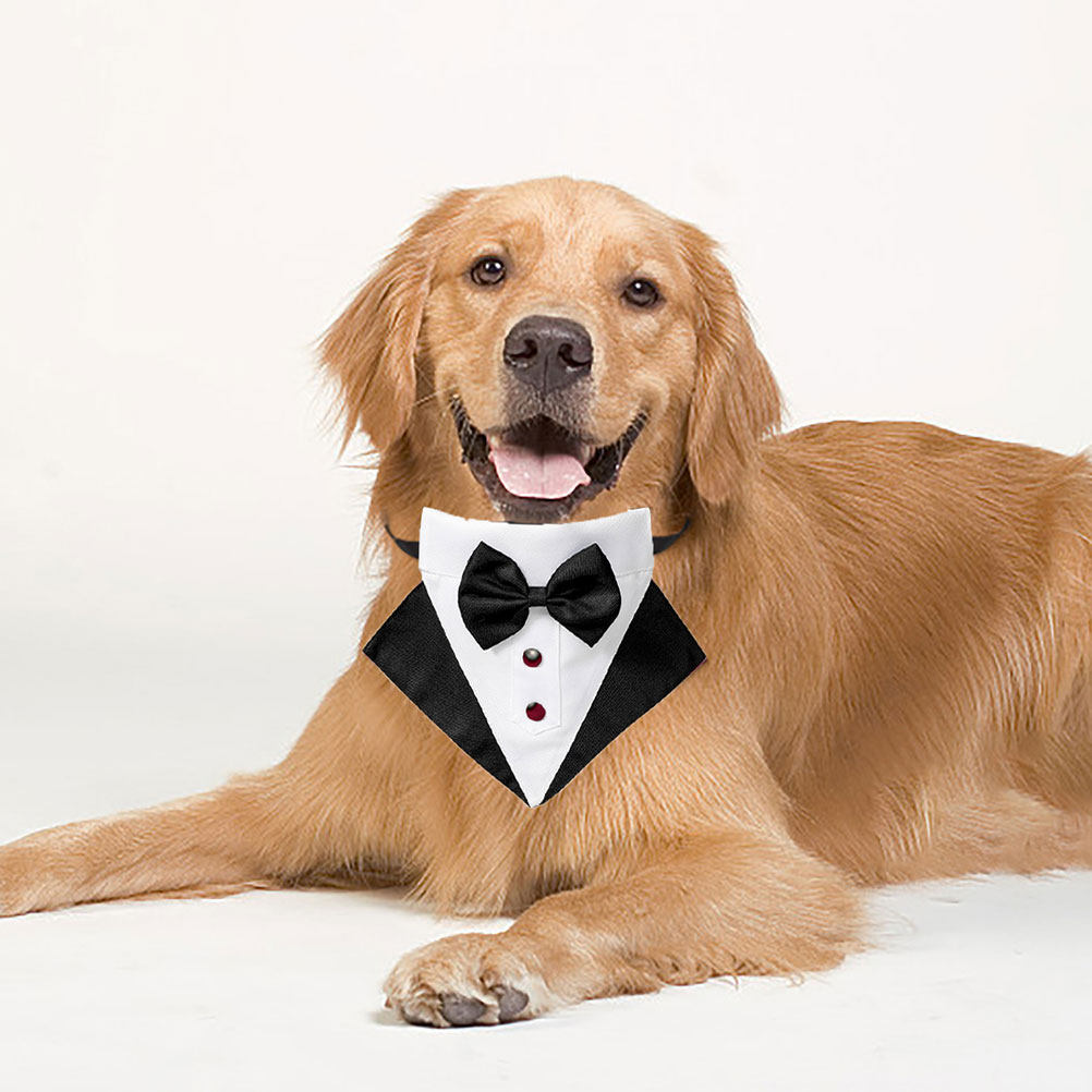 1 Set Dog Suit and Bandana Tux - Suitsupply Wedding Tuxedo reseña y precio